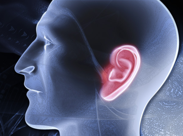 difference between ear training and aural training