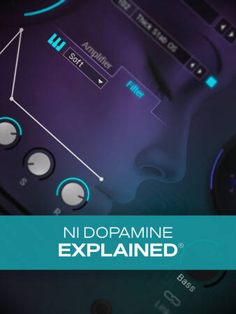 NI Dopamine Explained