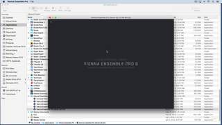 vienna ensemble pro dissconnect instance freezes